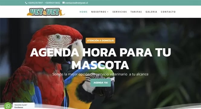 Expertos en Onepages y Landingpages