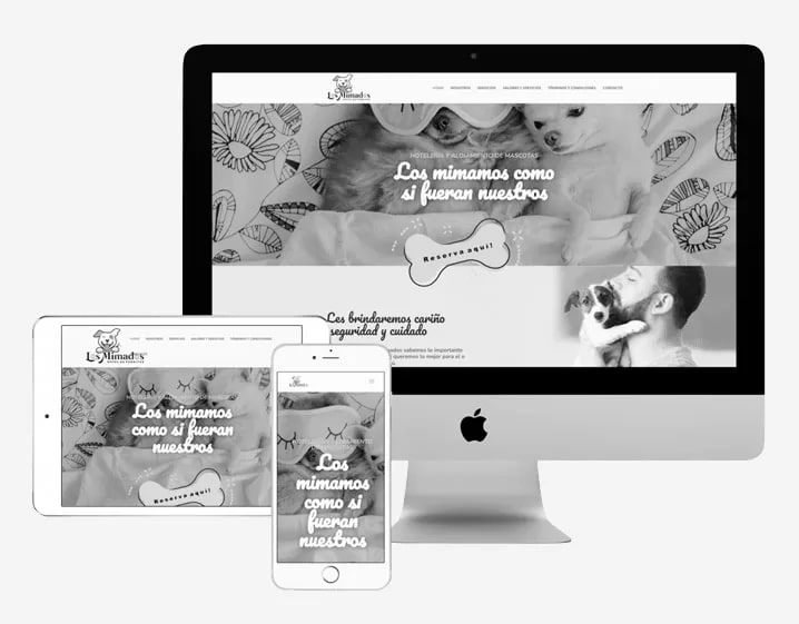 Expertos en Onepages y Landingpages
